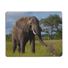 Load image into Gallery viewer, High Quality Elephant Mouse pad-Classic Elephant