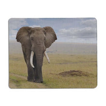 Load image into Gallery viewer, High Quality Elephant Mouse pad-Classic Elephant